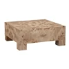 Anissa Burl Wood Coffee Table