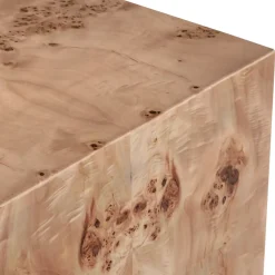 Anissa Burl Wood Coffee Table