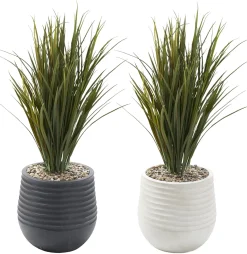 Areca Grass Arrangement