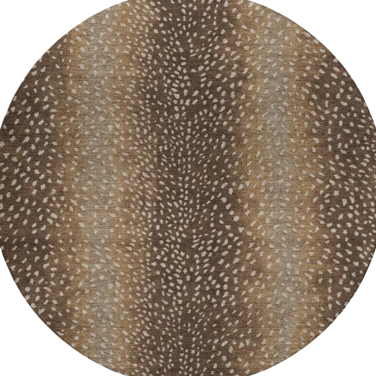 Axis Rug