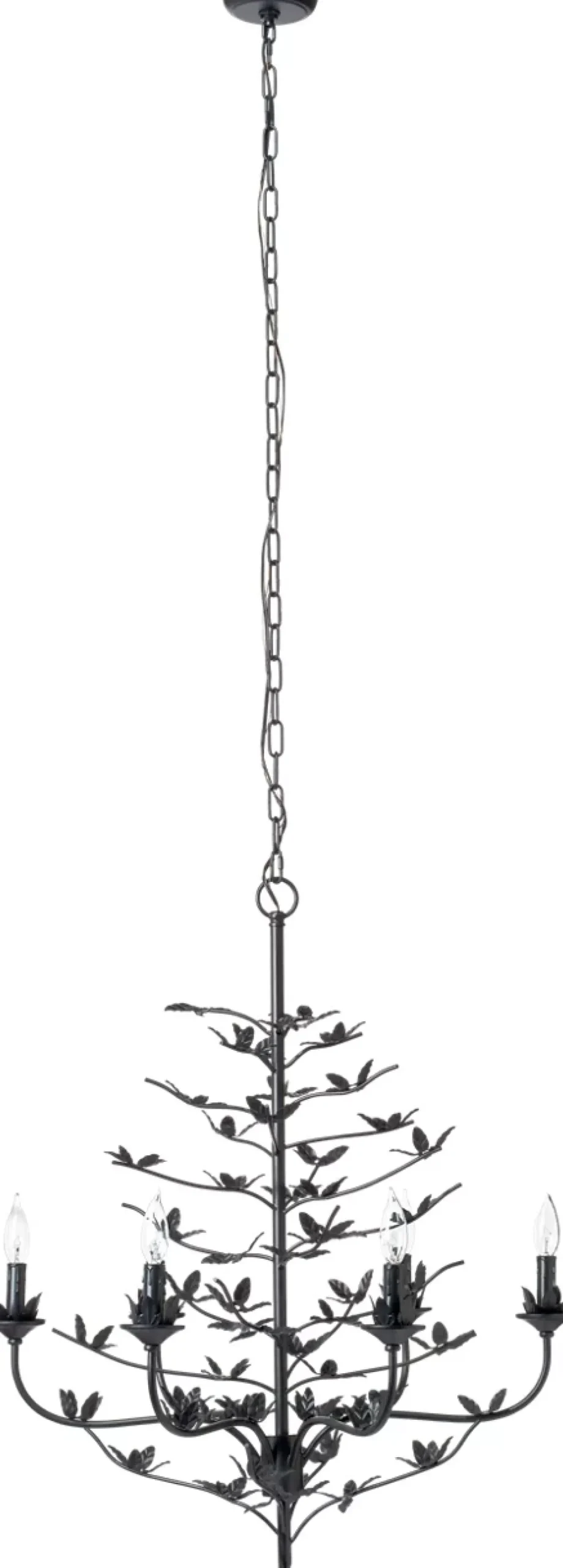 Coralina Chandelier