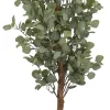 Eucalyptus Tree