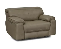 Genesis Power Recliner