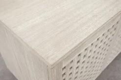 Ginny Entertainment Console