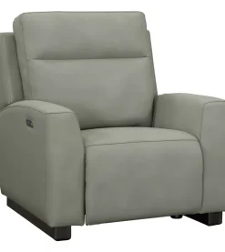 Horizon Recliner