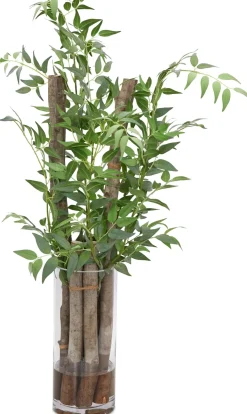Italian Ruscus Greenery