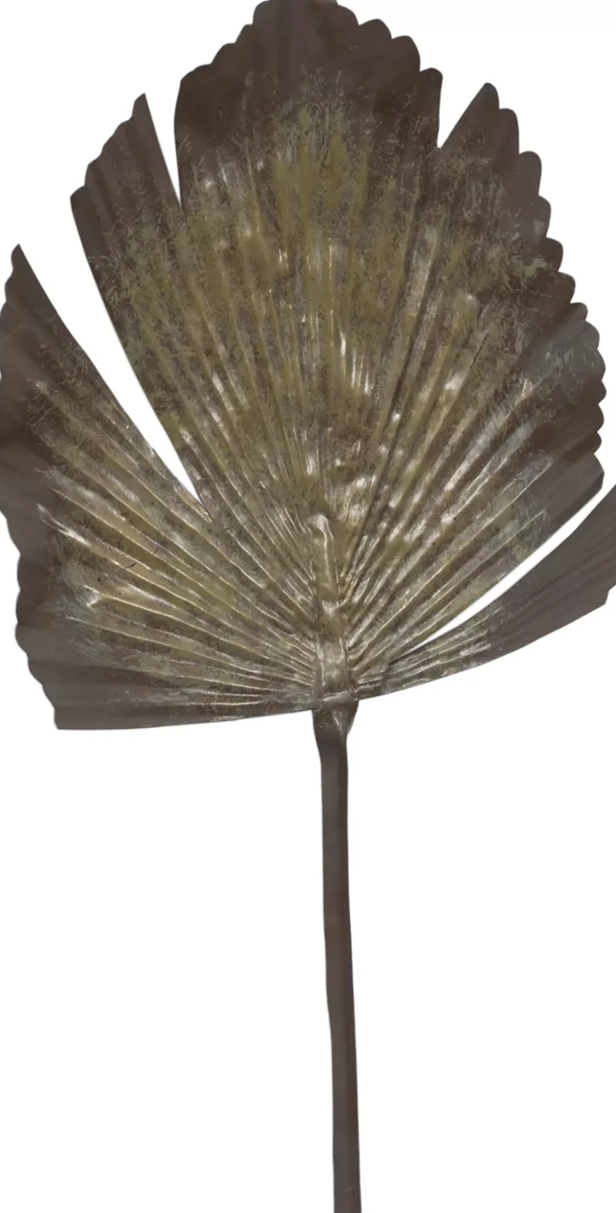 Landrum Palm Leaf