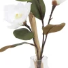 Magnolia Ghostwood Floral