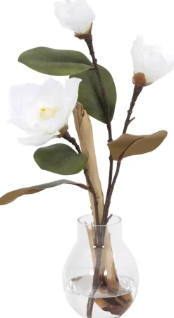 Magnolia Ghostwood Floral