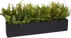 Mixed Fern Floral