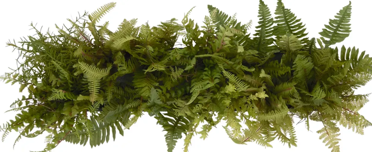 Mixed Fern Floral
