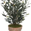 Olive Spray II Greenery