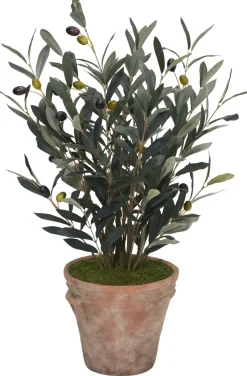 Olive Spray II Greenery