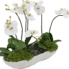 Orchid Skimmia Floral