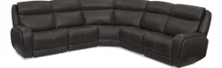 Polaris Sectional