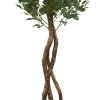 Poppel Spray Tree
