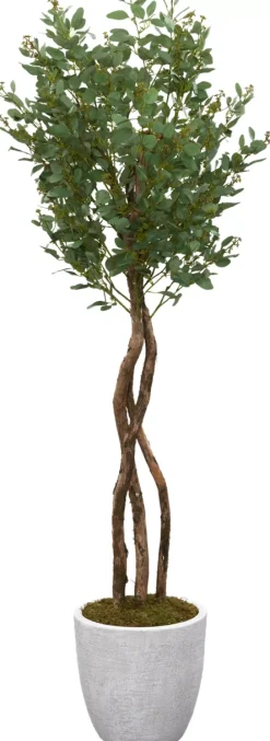 Poppel Spray Tree