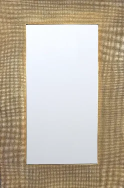 Raven Mirror