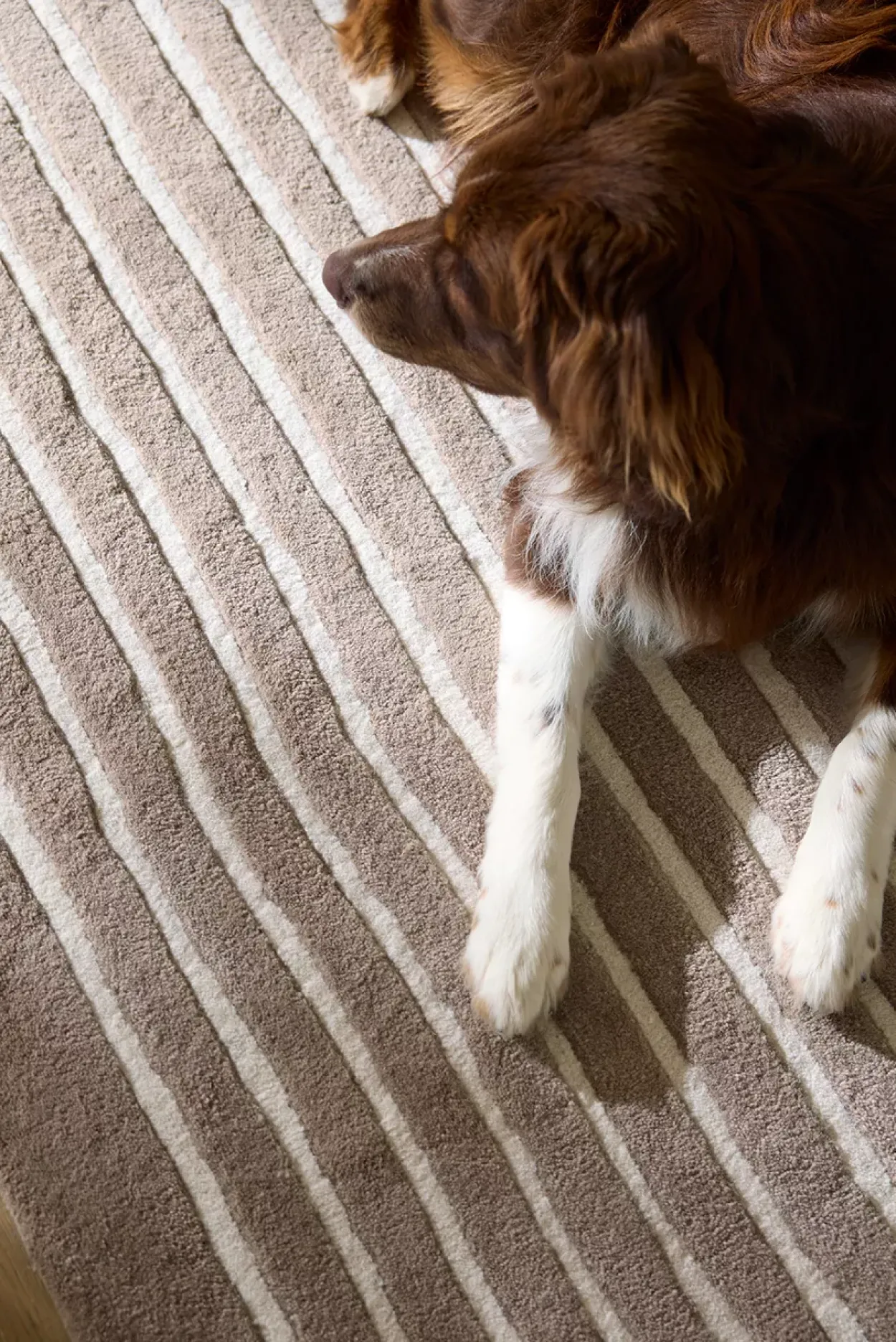 Rhonin Rug