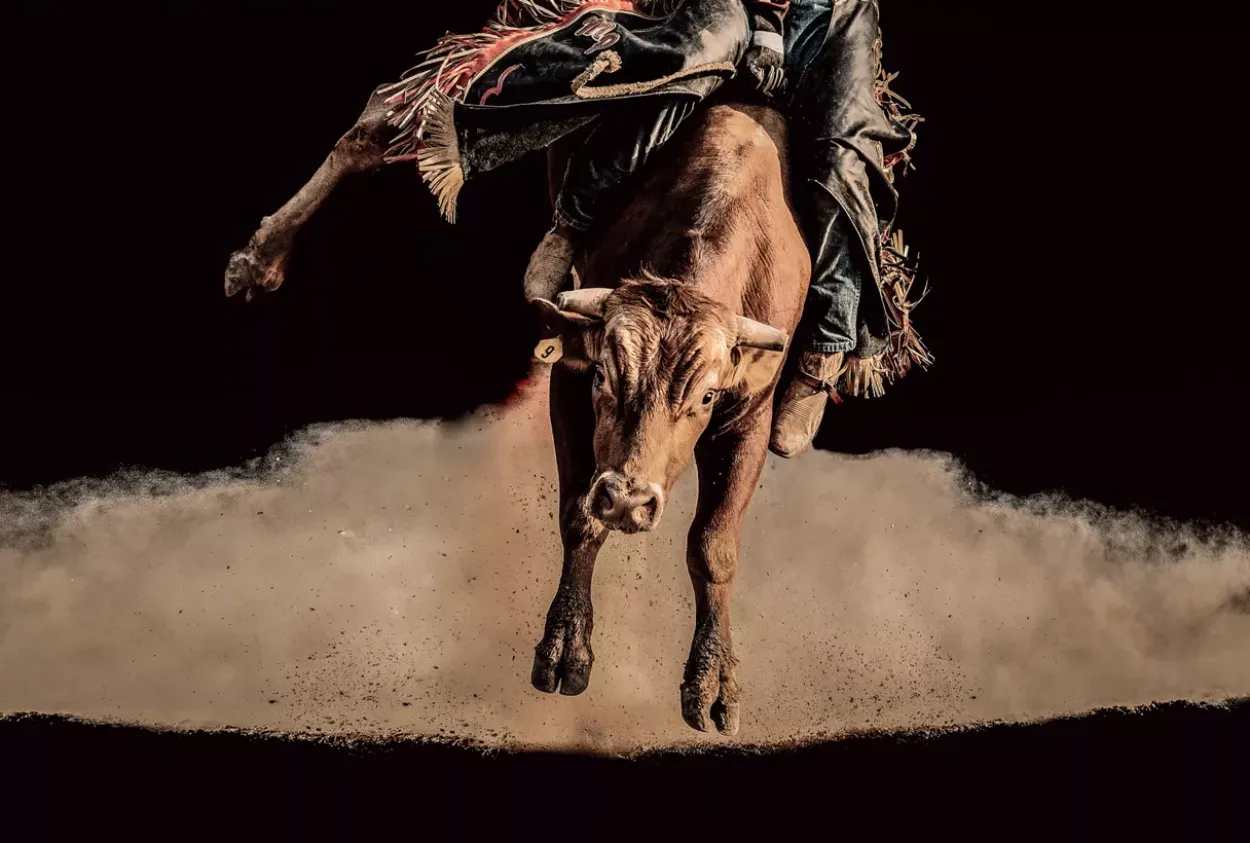 Ride To Victory Wall Decor