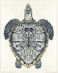 Sea Turtle Framed Art