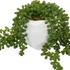 Sedum Spray Greenery