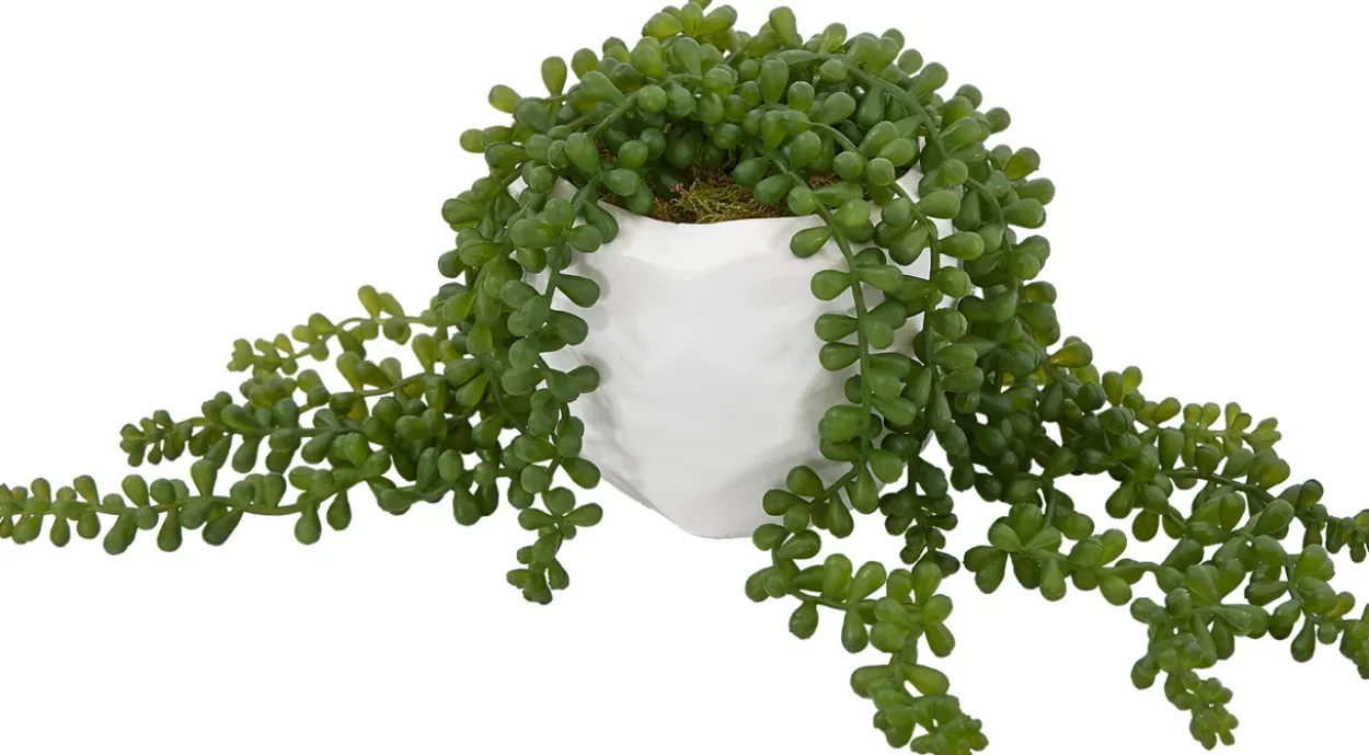 Sedum Spray Greenery