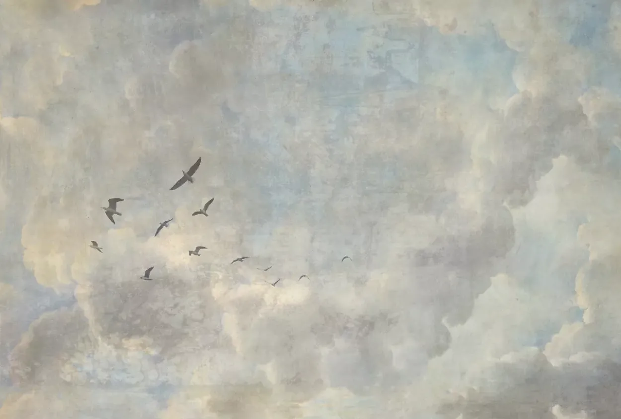 Skyview Wall Art