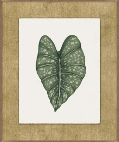 Timeless Tropics Wall Decor