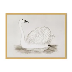 Vintage Swan Wall Art