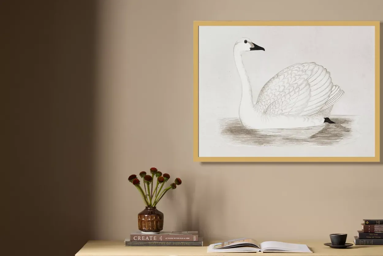 Vintage Swan Wall Art